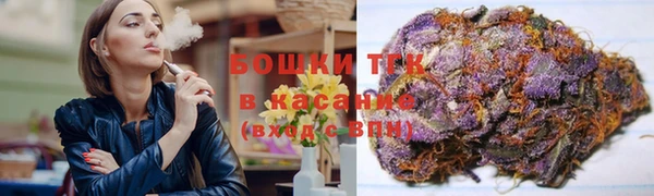 сатива Вязьма