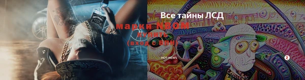 стафф Горно-Алтайск