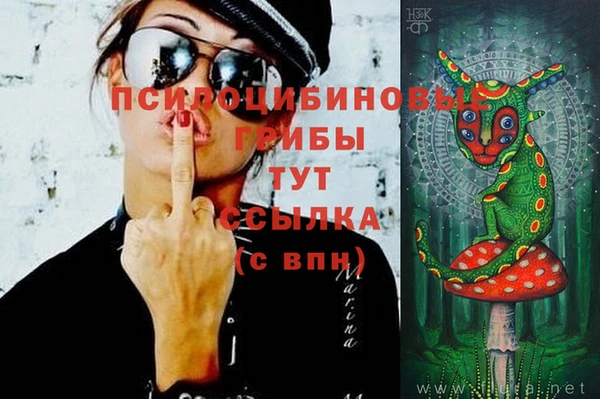 ПСИЛОЦИБИНОВЫЕ ГРИБЫ Горнозаводск
