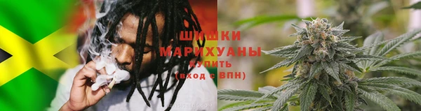 хмурый Вяземский