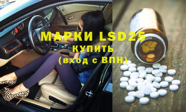 сатива Вязьма