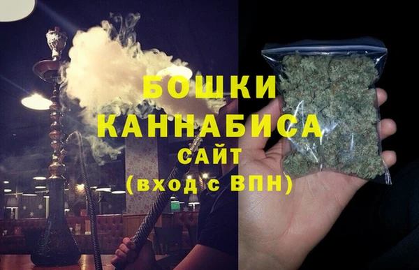 сатива Вязьма